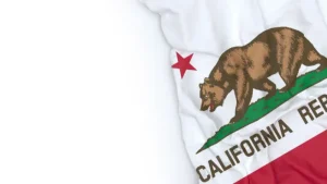 Grants For Felons in California
