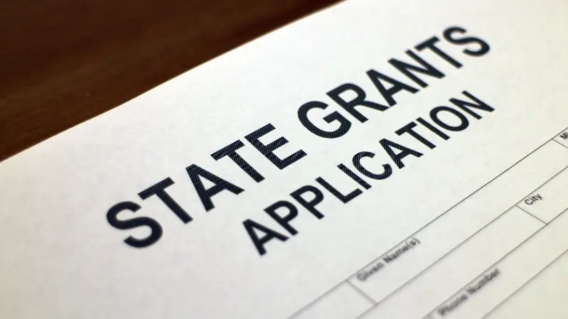 How To Get Microgrants From the Government