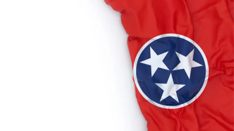 Basic Needs Grants in Tennessee for Felons